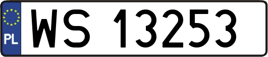 WS13253