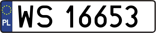 WS16653