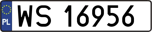 WS16956