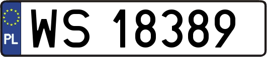 WS18389