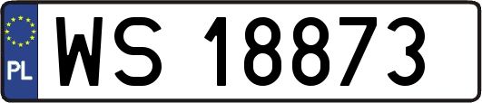 WS18873
