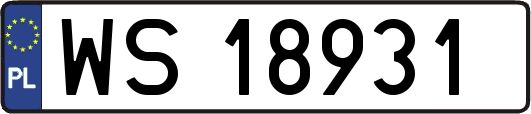 WS18931