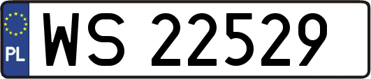 WS22529