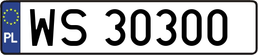 WS30300
