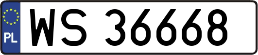 WS36668