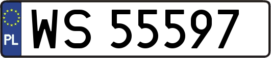 WS55597