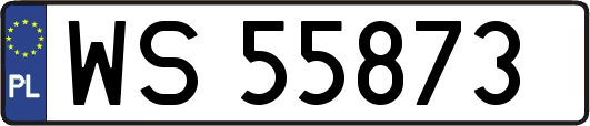 WS55873