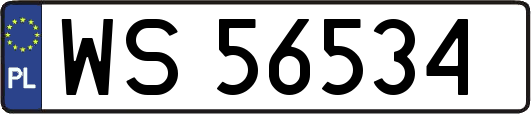 WS56534