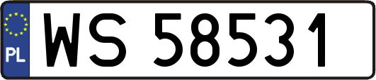 WS58531