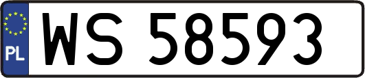 WS58593