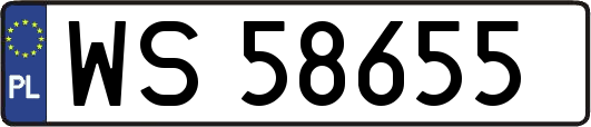 WS58655