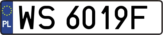 WS6019F