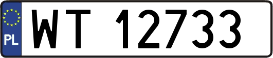 WT12733