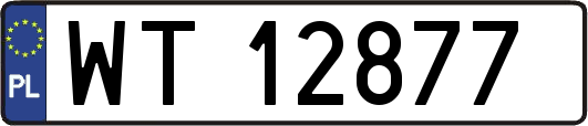 WT12877