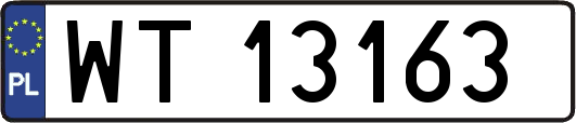 WT13163