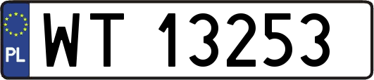 WT13253