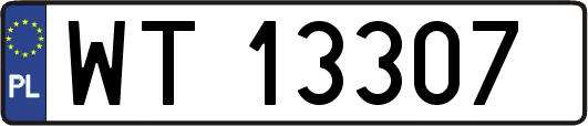 WT13307