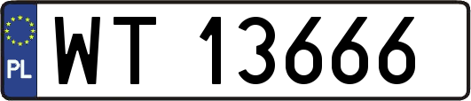 WT13666