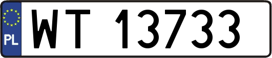 WT13733