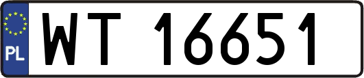 WT16651