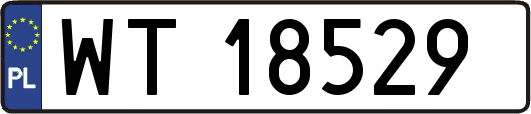 WT18529