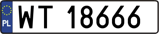 WT18666