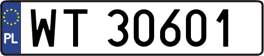 WT30601