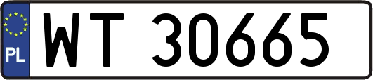 WT30665
