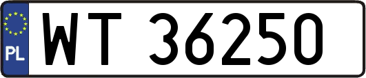 WT36250