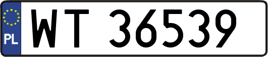 WT36539
