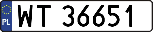 WT36651