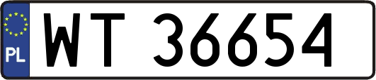WT36654