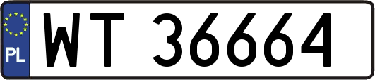 WT36664