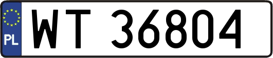 WT36804