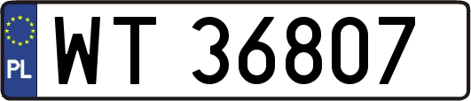 WT36807