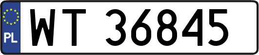 WT36845