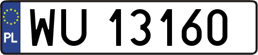WU13160