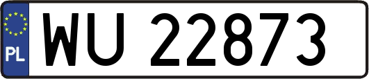 WU22873