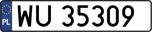 WU35309