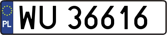 WU36616
