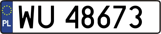 WU48673