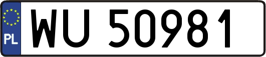 WU50981