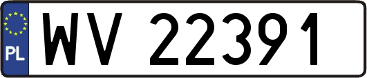 WV22391