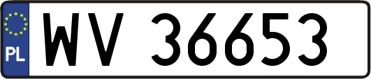 WV36653
