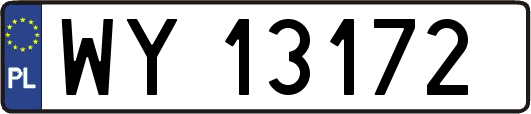 WY13172