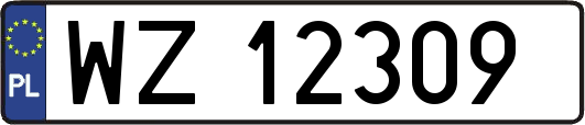 WZ12309