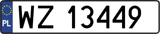 WZ13449