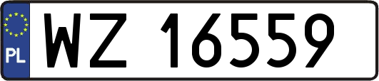 WZ16559
