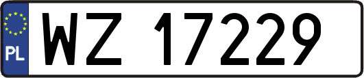 WZ17229