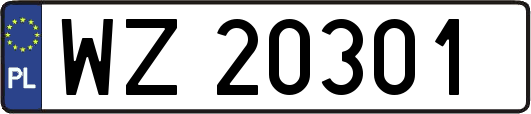 WZ20301